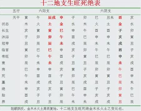 丑庫|論八字命理中的墓和庫